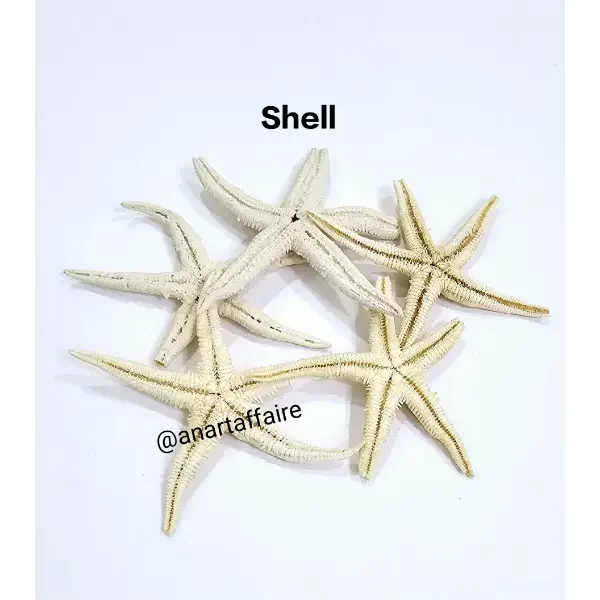 Shells