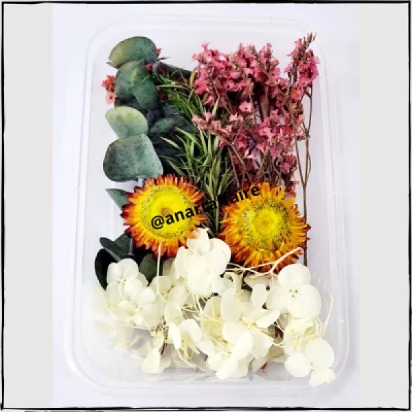 Dry Flower Box