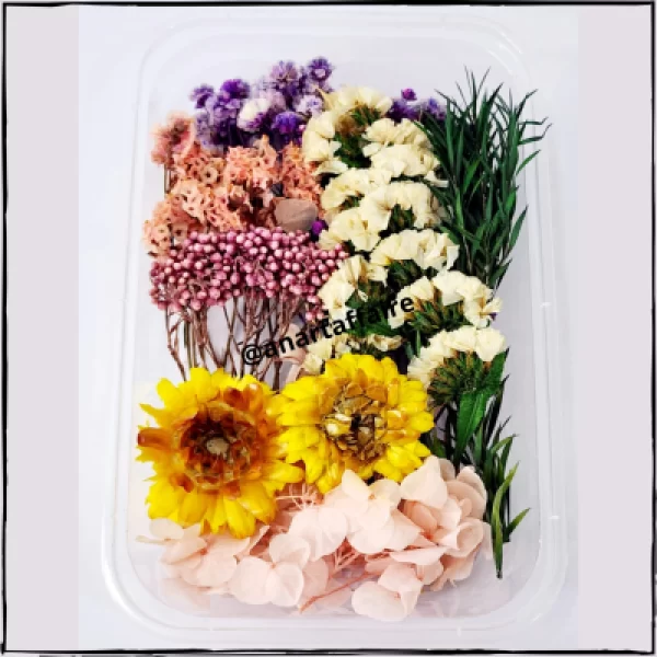 Dry Flower Box